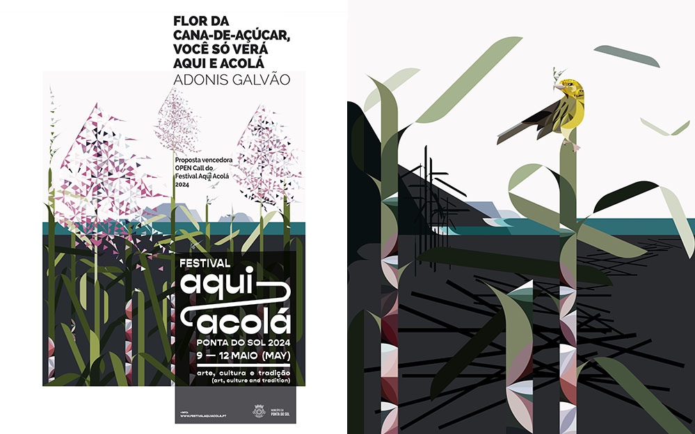 SUGARCANE FLOWER, YOU WILL ONLY SEE IT HERE AND THERE – AQUI ACOLÁ- PORTUGAL | INDIVIDUAL | 2024