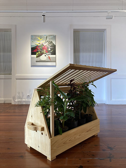 EXOTIC TREES’ ARK