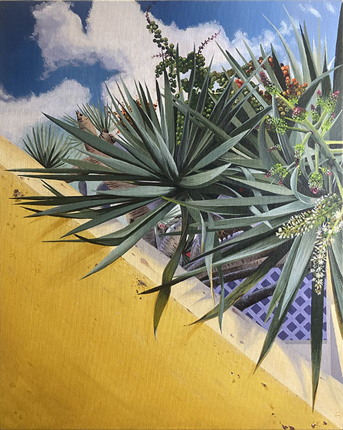 DRAGON TREE | YELLOW