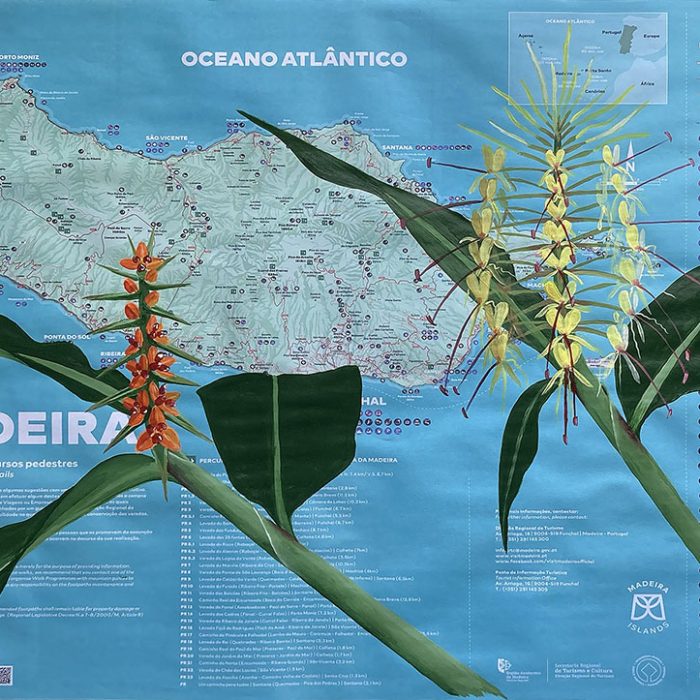 MAPPING INVASIVE SPECIES