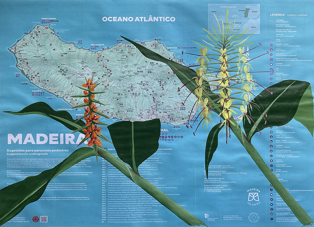 MAPPING INVASIVE SPECIES